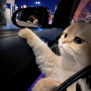 色色色xxx xxx x色色色xxx xxx x
